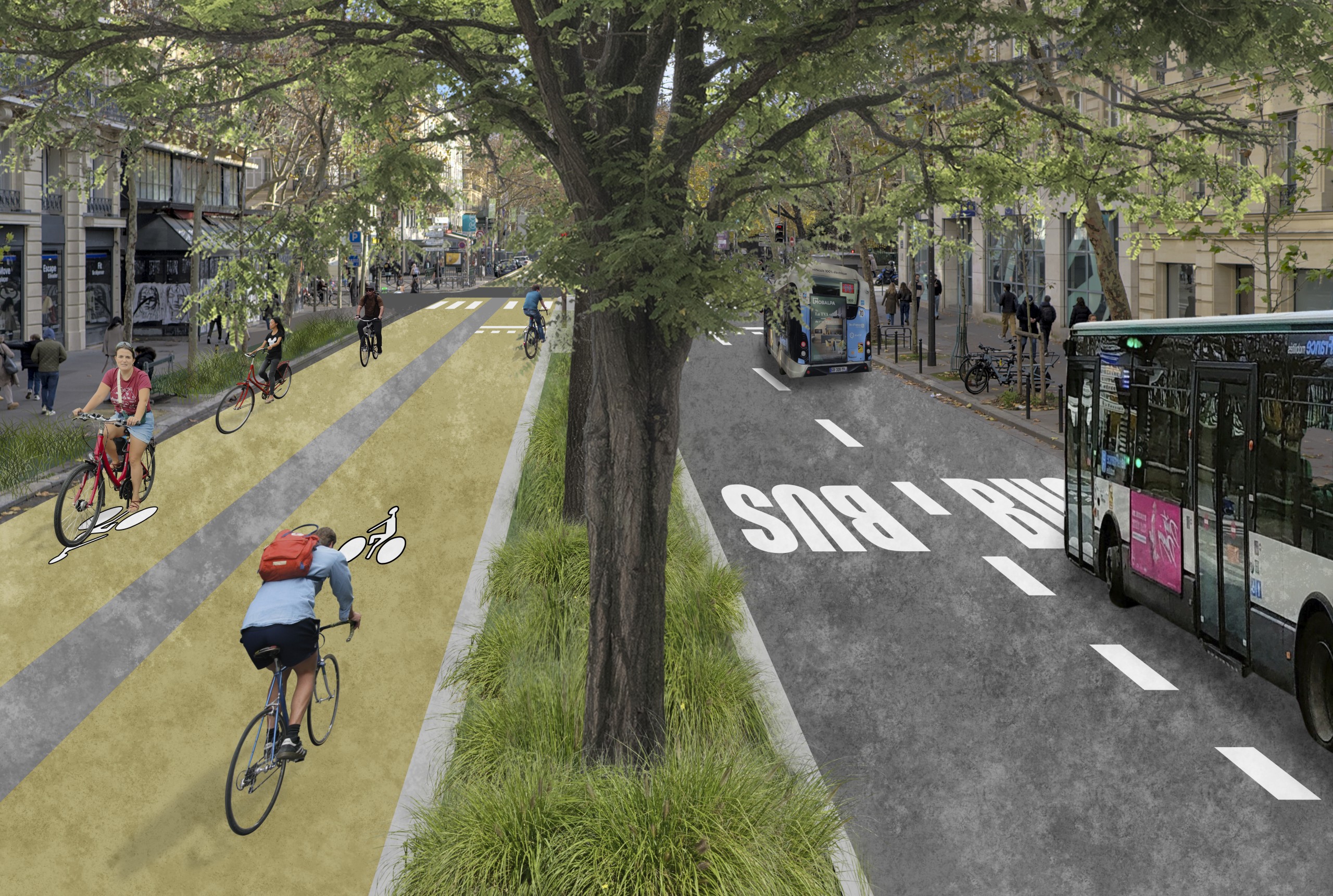 Le boulevard Saint-Germain végétalisé et réservé à la circulation des piétons des cyclistes et des bus